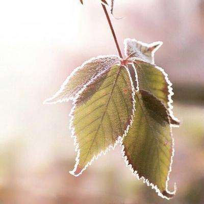 亚搏登入口app截图